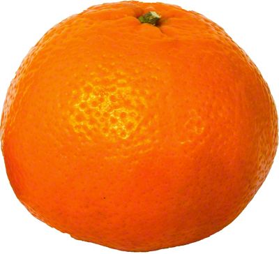 Organic Satsuma Mandarin | Central Market - Really Into Food