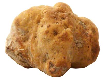 White Truffles Central Market Really Into Food   001127449 1