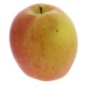 H-E-B Organics Fresh Jazz Apples