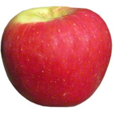 Fresh Organic Fuji Apples - Shop Apples at H-E-B