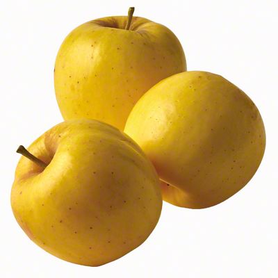 Fresh McIntosh Apple - Shop Apples at H-E-B