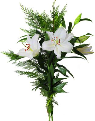 Central Market White Oriental Lilies With Greens, 3-Stem, Bunch