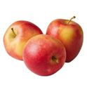 Apple - 【かつ6547】 Pazazz Apple - acmemarkets