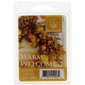 Fusion Salted Caramel Brittle Scented Wax Cubes, 2.5 oz.
