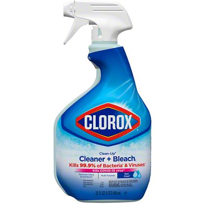 Clorox Clean-Up Fresh Cleaner & Bleach Spray, 32 oz – Central Market