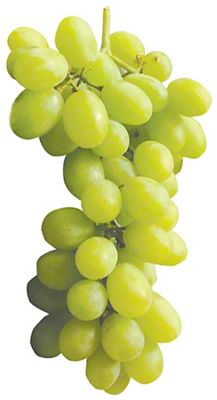 Signature Farms Green Grapes Seedless (3 lb) Delivery - DoorDash