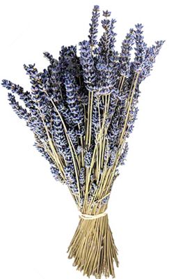 Dried Lavender Bunch, Elevated View Greeting Card by Westend61