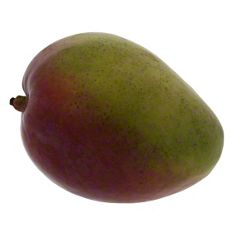 Fresh Large Mango