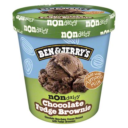 Ben & Jerry’s Chocolate Fudge Brownie Frozen Dessert Non-dairy, 16 Oz 