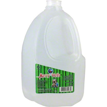 Mercy Wells Spring Water, 1 gal – Central Market