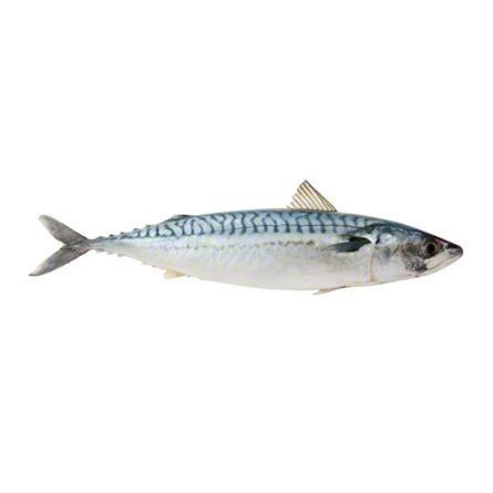 Whole Spanish Mackeral | Central Market - Really Into Food