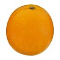 What Are Valencia Oranges?