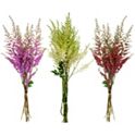 HEARTH & HAND ASTILBE Flower (16) 5 Stems per Bundle Floral Plant