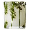 Thymes Frasier Fir Pine Aromatherapy Candle