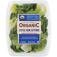 lettuce Salanova® CHALMERS RZ (79-145) Knox™ - Lettuce | Rijk Zwaan