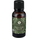 Field & Future by H-E-B Organic Tea Tree Essential Oil, 1 oz