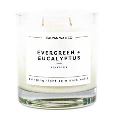 Calyan Wax Co Evergreen & Eucalyptus Glass Tumbler Soy Candle, 8.8