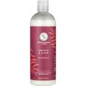 FUCESS Premium AR Shampoo 2本セット FUCESS Premium AR Shampoo 2本セット スカルプケアシリーズの