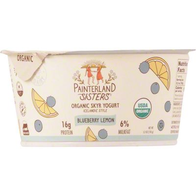 Painterland Sisters Organic Blueberry Lemon Icelandic Style Skyr, 5.3