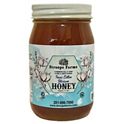 HAUS OF HONEY HW23709PURPLE 関税送料込 Stroope Honey Farms Texas Cotton Blossom Honey, 21.5 oz