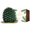 Thymes Frasier Fir Gilded Gold Poured Candle, 6.5 oz
