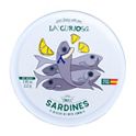 Les queues de Sardines さかなタイツ　フランス　イエロー Les Queues de Sardines タイツ sardines yellow さかなタイツ