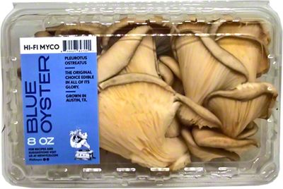 Micro Shroomyz – The Color Patch