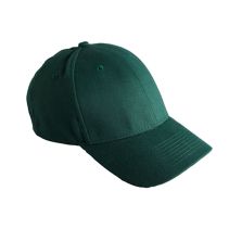 Solid Brushed Twill Cap 085280  