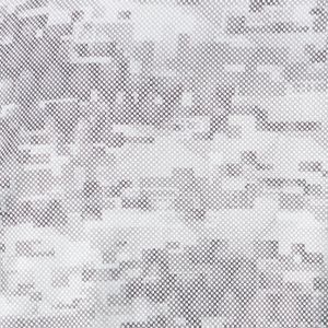 Charcoal Digi Scale Print