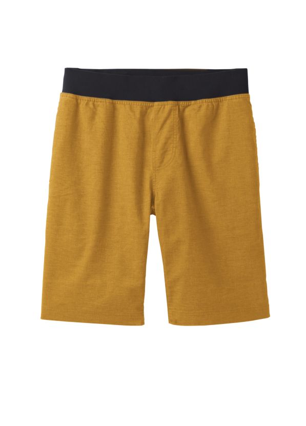 prana vaha shorts