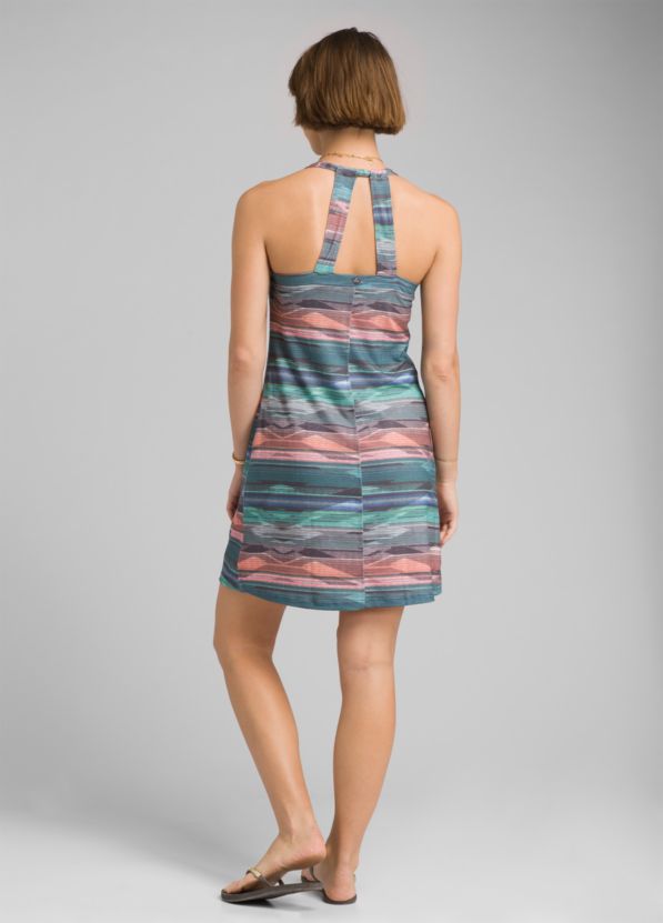 Cantine Dress | prAna