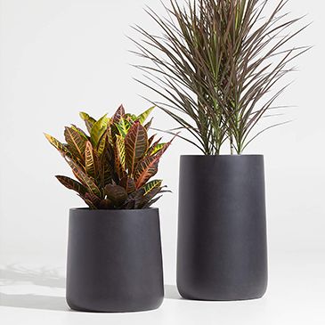 Saabira Fiberstone Indoor/Outdoor Planters