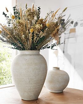 botanicals & vases