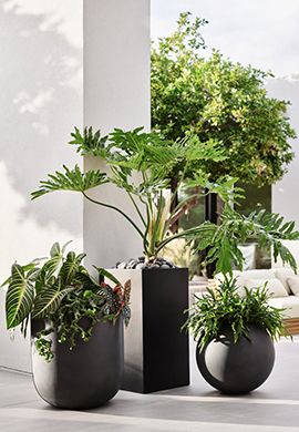 Walker Tall Square Planter