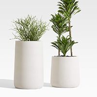 planters