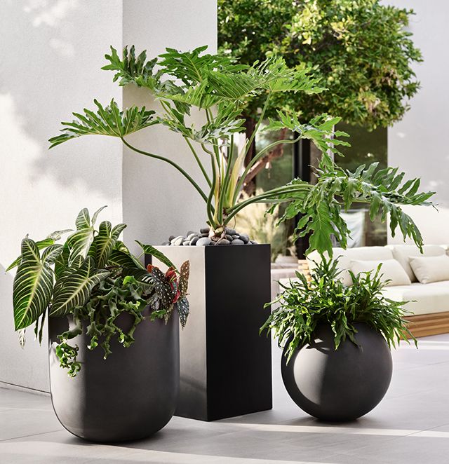 define your space with planters