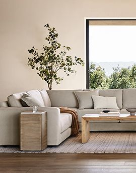 20% off bestselling sofas, sectionals & more