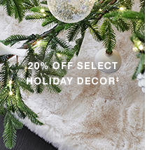 20% OFF SELECT HOLIDAY DECOR