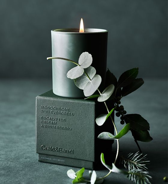 monochrome evergreen candle