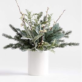 Dusty Miller Potted Arrangement