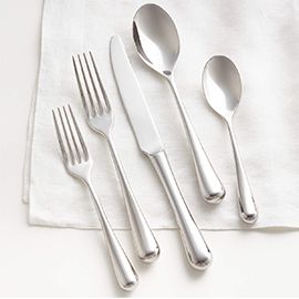 Caesna Air 5-Piece Silver Metallic Place Setting