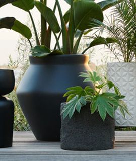 UP TO 30% OFF PLANTERS‡