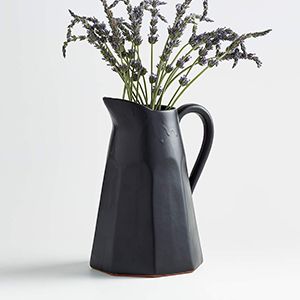 Stevey Black Pitcher