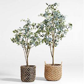 Faux Silver Dollar Eucalyptus Tree