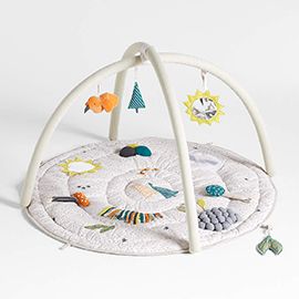 Busy Baby Activity Gym Play Mat