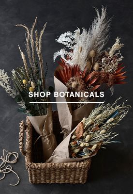 shop botanicals & vases