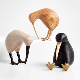 Wood Kiwi Bird