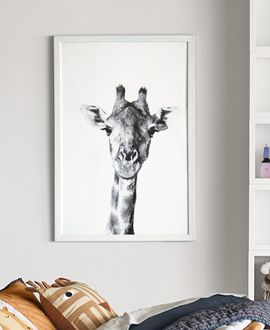 Giraffe Portrait Framed Wall Art Print