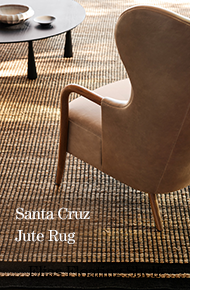 Santa Cruz Jute Rug