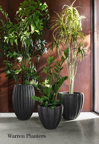 Warren Planters